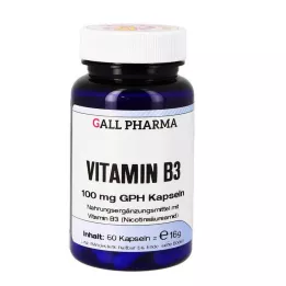 VITAMIN B3 100 mg GPH Capsules, 60 pcs