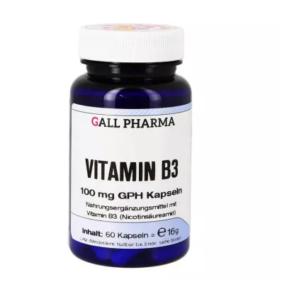 VITAMIN B3 100 mg GPH Capsules, 60 pcs VITAMIN B3 100 mg GPH Capsules, 60 pcs