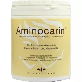 AMINOCARIN Powder tin, 400 g