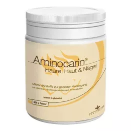 AMINOCARIN Powder tin, 400 g