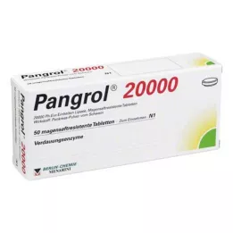 PANGROL 20,000 enteric-coated tablets, 50 pcs