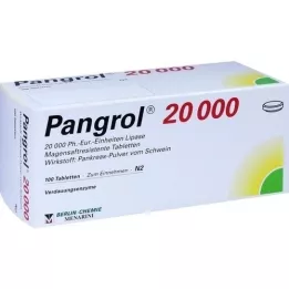 PANGROL 20,000 enteric-coated tablets, 100 pcs