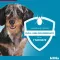 KILTIX Collar for large dogs, 1 pc