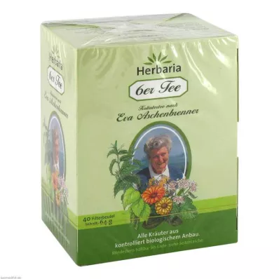 6ER Tea according to Eva Aschenbrenner filter bag, 40 pcs
