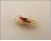 Instructions for use for NYDA® metal lice and nit comb, 1 piece - 5