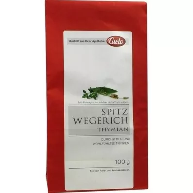 SPITZWEGERICH THYMIAN Tea Caelo HV-Pack, 100 g