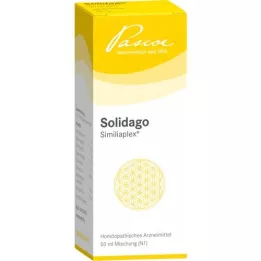 SOLIDAGO SIMILIAPLEX Drops, 50 ml