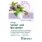 SIDROGA Sleep and Nerve Tea Filter Bag, 20X2.0 g