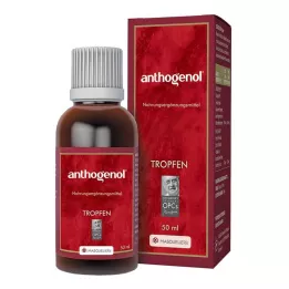 ANTHOGENOL Masquelier OPC Drops, 50 ml