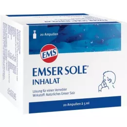 EMSER Brine inhalate solution for nebuliser, 20 pcs