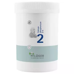 BIOCHEMIE Ploughmans Plaster 2 Calcium phosphoricum D 6 tbl, 4000 pcs