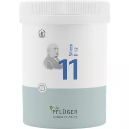 BIOCHEMIE Pflüger 11 Silicea D 12 Tablets, 1000 pc