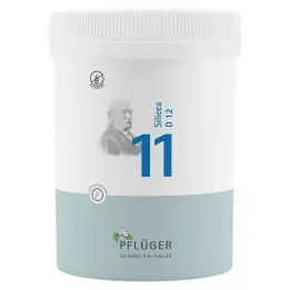BIOCHEMIE Pflüger 11 Silicea D 12 Tablets, 1000 pc