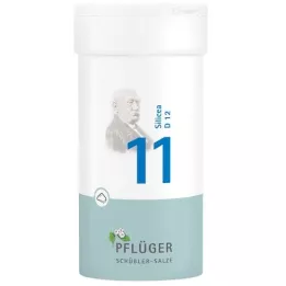 BIOCHEMIE Ploughmans 11 Silicea D 12 Powder, 100 g