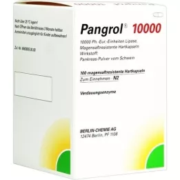 PANGROL 10,000 hard caps with enteric-coated pell, 100 pcs