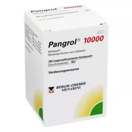 PANGROL 10,000 hard caps with enteric-coated pell, 100 pcs