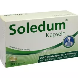SOLEDUM 100 mg enteric-coated capsules, 100 pcs