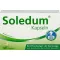 SOLEDUM 100 mg enteric-coated capsules, 100 pcs