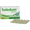 SOLEDUM 100 mg enteric-coated capsules, 100 pcs