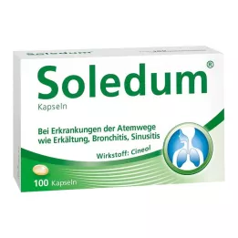 SOLEDUM 100 mg enteric-coated capsules, 100 pcs