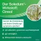 SOLEDUM 100 mg enteric-coated capsules, 100 pcs