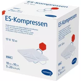 ES-KOMPRESSEN sterile 10x10 cm 12x bulk pack, 5X20 pcs