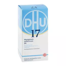 BIOCHEMIE DHU 17 Manganum sulphuricum D 6 tablets, 420 pc