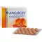ANGOCIN Anti Infekt N Film-Coated Tablets, 200 Capsules
