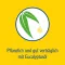 PINIMENTHOL Cold bath for child from 2 y.o. Eucalyptus, 30 ml