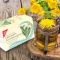 H&S Dandelion Filter Bag, 20X2.0 g