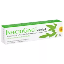 INFECTOGINGI Mouth gel, 6 g