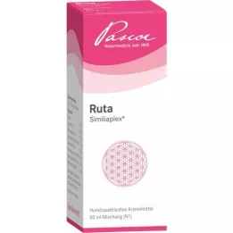 RUTA SIMILIAPLEX Drops, 50 ml