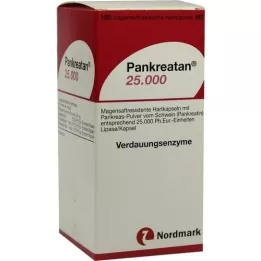 PANKREATAN 25,000 enteric-coated hard capsules, 100 pcs