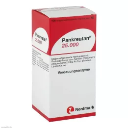 PANKREATAN 25,000 enteric-coated hard capsules, 100 pcs
