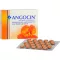 ANGOCIN Anti Infekt N Film-Coated Tablets, 50 Capsules