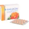 ANGOCIN Anti Infekt N Film-Coated Tablets, 100 Capsules
