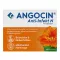 ANGOCIN Anti Infekt N Film-Coated Tablets, 100 Capsules