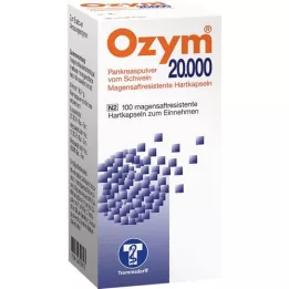 OZYM 20,000 hard capsules enteric-coated, 100 pcs