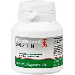 FUNDAMENT-Salt I N Tablets, 4X80 St