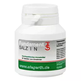 FUNDAMENT-Salt I N Tablets, 4X80 St