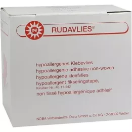 RUDAVLIES Adhesive fleece 10 cmx10 m, 1 pc