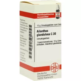 DHU Ailanthus gland.C 30 globules, 10 g