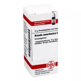 DHU Arundo mauritanica C 30 globules, 10 g