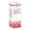 ASTERIAS RUBENS D 6 Dilution, 20 ml