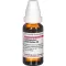 CAULOPHYLLUM THALICTROIDES C 6 Dilution, 20 ml