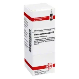 DHU Cistus canadensis D 12 Dilution, 20 ml