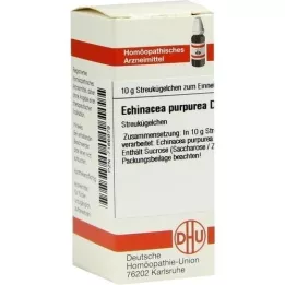 ECHINACEA PURPUREA D 6 globules, 10 g