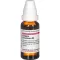 ERIGERON CANADENSIS D 6 Dilution, 20 ml