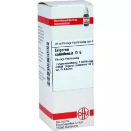 Erigeron Canadensis D6 Dilution (20 ml)