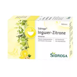SIDROGA Wellness Ginger Lemon Tea Filter Bag, 20X2.0 g